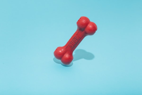 Brinquedo Kong Classic M - Resistente