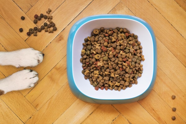 Racao Royal Canin Shih Tzu Adulto 7.5kg